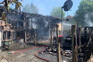 Steel vs wood framing Steel framing Wood framing